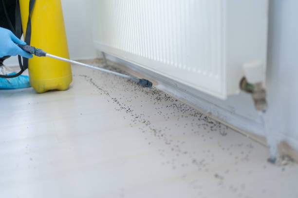 Best Pest Prevention Services  in Stone Ridge, NY