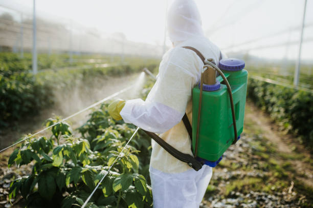 Best Wildlife Control Services  in Stone Ridge, NY
